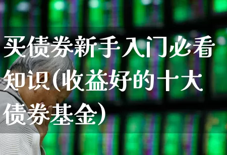 买债券新手入门必看知识(收益好的十大债券基金)_https://www.gfdzclz.com_创业板_第1张