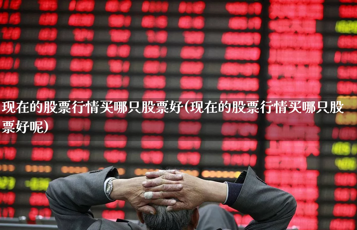 现在的股票行情买哪只股票好(现在的股票行情买哪只股票好呢)_https://www.gfdzclz.com_创业板_第1张