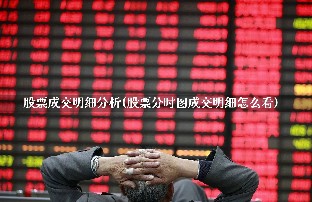 股票成交明细分析(股票分时图成交明细怎么看)_https://www.gfdzclz.com_深交所_第1张