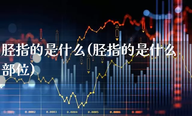胫指的是什么(胫指的是什么部位)_https://www.gfdzclz.com_北交所_第1张