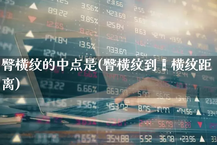 臀横纹的中点是(臀横纹到腘横纹距离)_https://www.gfdzclz.com_科创板_第1张