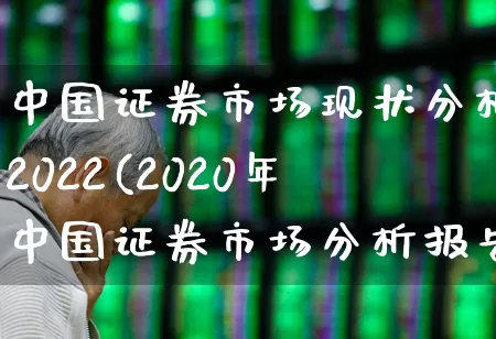 中国证券市场现状分析2022(2020年中国证券市场分析报告)_https://www.gfdzclz.com_深交所_第1张