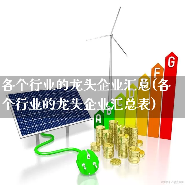 各个行业的龙头企业汇总(各个行业的龙头企业汇总表)_https://www.gfdzclz.com_深交所_第1张