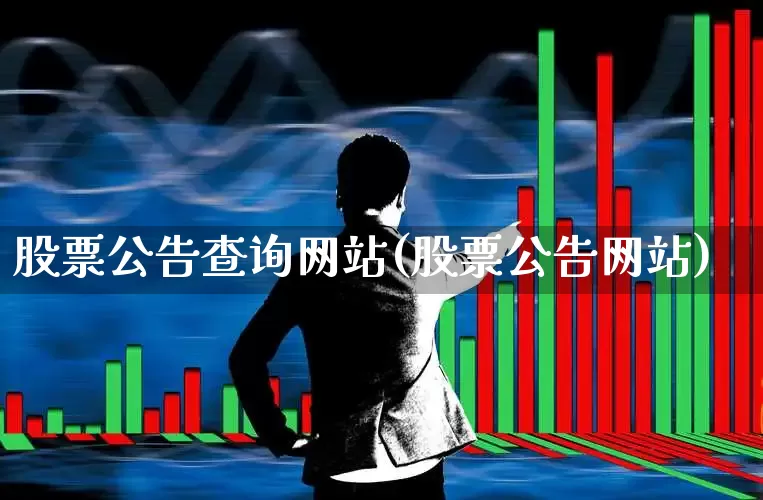 股票公告查询网站(股票公告网站)_https://www.gfdzclz.com_创业板_第1张
