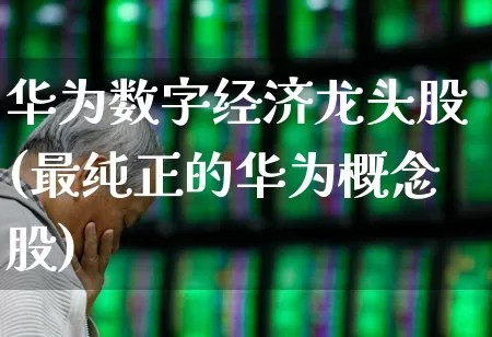 华为数字经济龙头股(最纯正的华为概念股)_https://www.gfdzclz.com_深交所_第1张