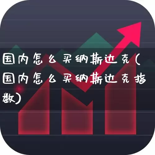 国内怎么买纳斯达克(国内怎么买纳斯达克指数)_https://www.gfdzclz.com_创业板_第1张