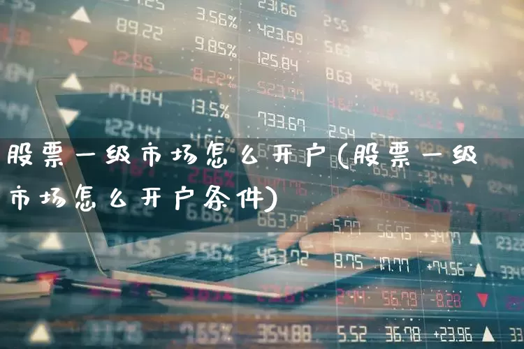 股票一级市场怎么开户(股票一级市场怎么开户条件)_https://www.gfdzclz.com_科创板_第1张