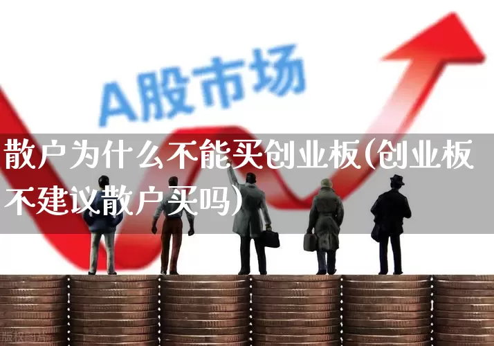 散户为什么不能买创业板(创业板不建议散户买吗)_https://www.gfdzclz.com_深交所_第1张