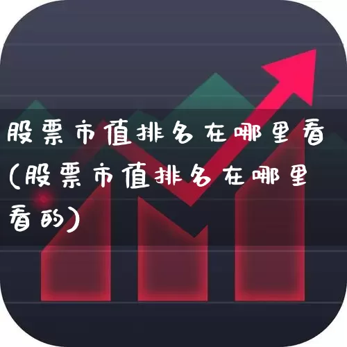 股票市值排名在哪里看(股票市值排名在哪里看的)_https://www.gfdzclz.com_上交所_第1张
