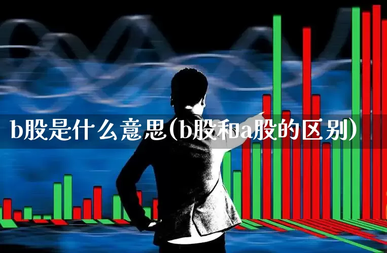 b股是什么意思(b股和a股的区别)_https://www.gfdzclz.com_创业板_第1张