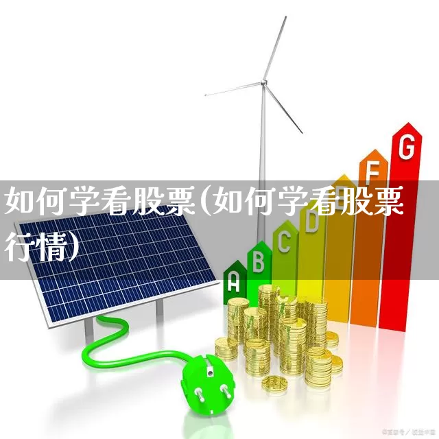 如何学看股票(如何学看股票行情)_https://www.gfdzclz.com_科创板_第1张