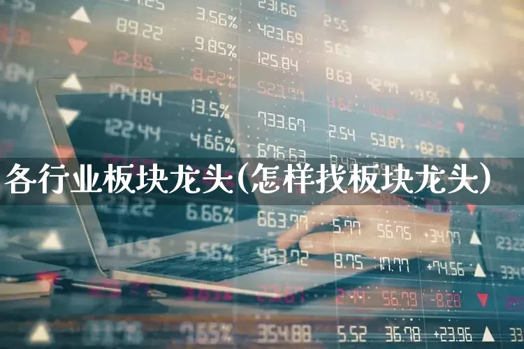 各行业板块龙头(怎样找板块龙头)_https://www.gfdzclz.com_创业板_第1张