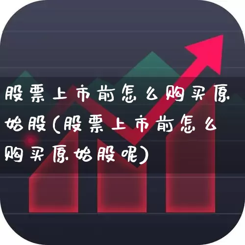 股票上市前怎么购买原始股(股票上市前怎么购买原始股呢)_https://www.gfdzclz.com_深交所_第1张