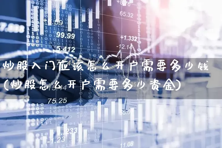 炒股入门应该怎么开户需要多少钱(炒股怎么开户需要多少资金)_https://www.gfdzclz.com_创业板_第1张