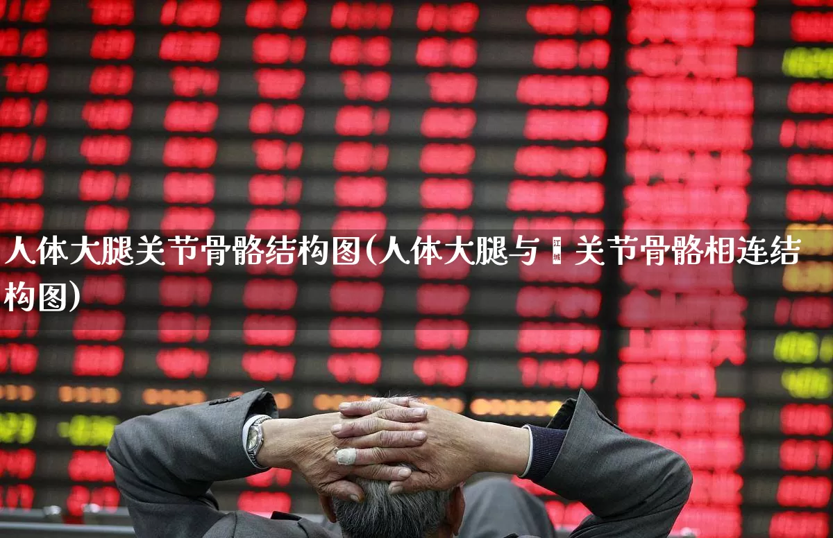 人体大腿关节骨骼结构图(人体大腿与髋关节骨骼相连结构图)_https://www.gfdzclz.com_上交所_第1张