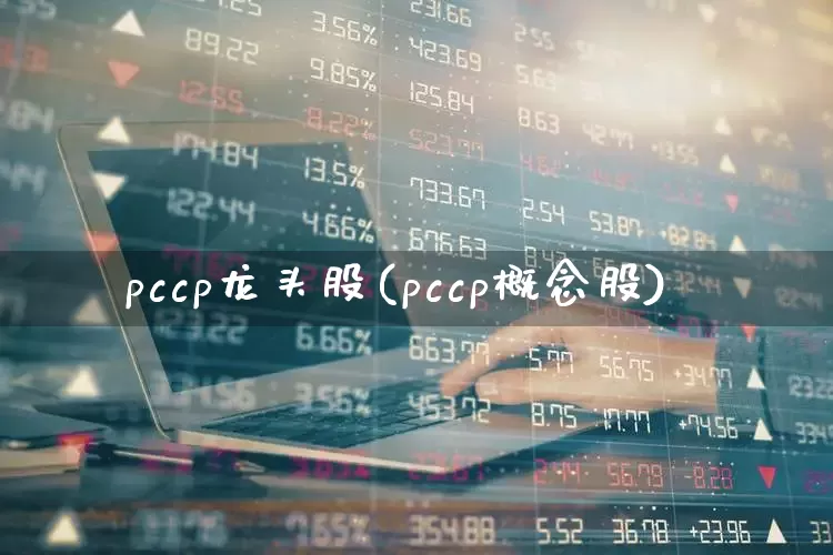 pccp龙头股(pccp概念股)_https://www.gfdzclz.com_深交所_第1张