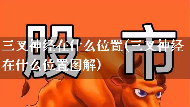 三叉神经在什么位置(三叉神经在什么位置图解)_https://www.gfdzclz.com_深交所_第1张