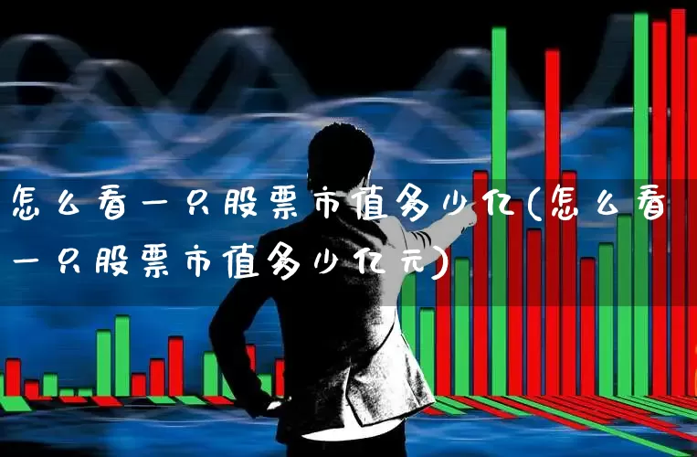 怎么看一只股票市值多少亿(怎么看一只股票市值多少亿元)_https://www.gfdzclz.com_科创板_第1张