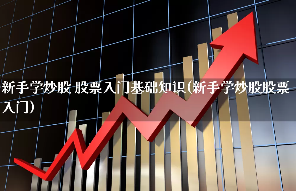 新手学炒股 股票入门基础知识(新手学炒股股票入门)_https://www.gfdzclz.com_创业板_第1张