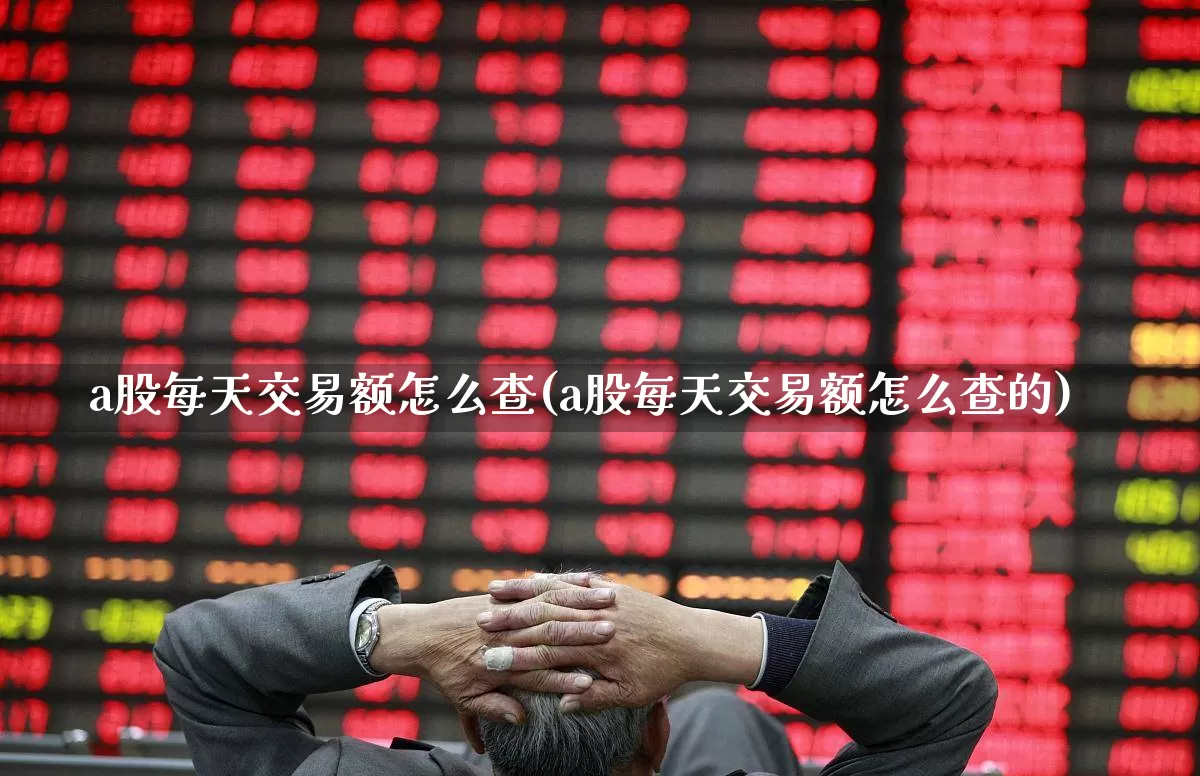 a股每天交易额怎么查(a股每天交易额怎么查的)_https://www.gfdzclz.com_创业板_第1张