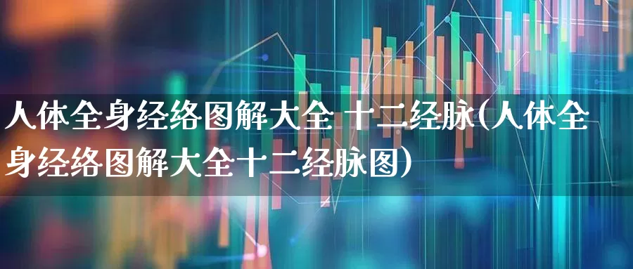 人体全身经络图解大全 十二经脉(人体全身经络图解大全十二经脉图)_https://www.gfdzclz.com_创业板_第1张