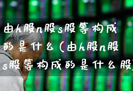 由h股n股s股等构成的是什么(由h股n股s股等构成的是什么股)_https://www.gfdzclz.com_深交所_第1张