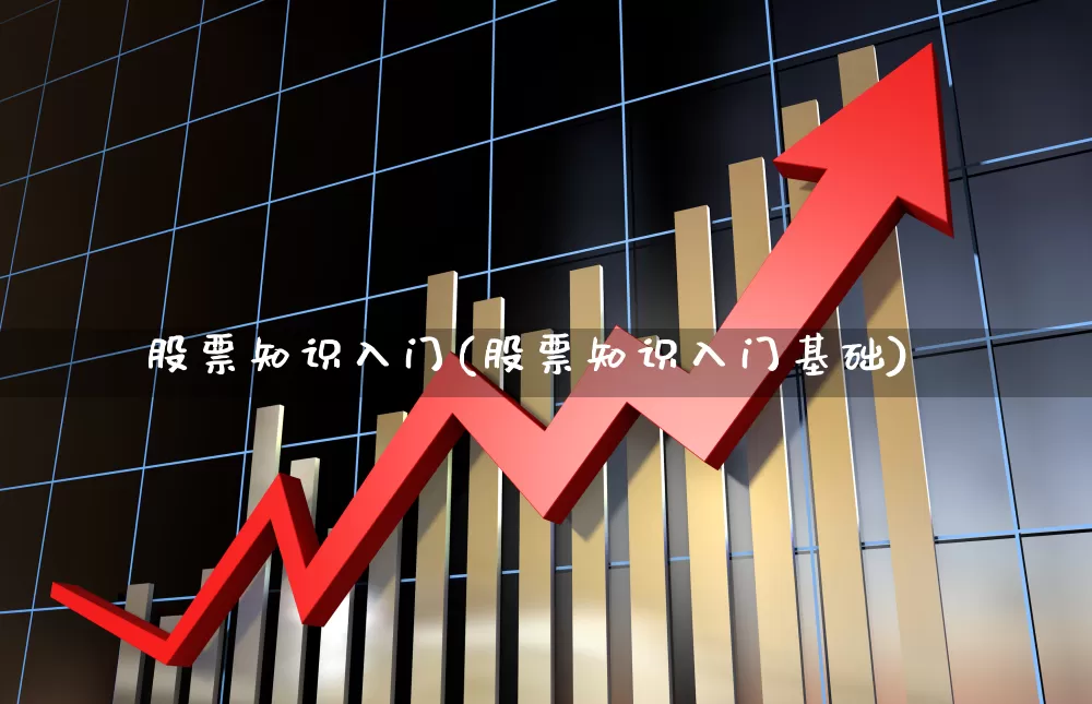 股票知识入门(股票知识入门基础)_https://www.gfdzclz.com_上交所_第1张