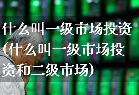 什么叫一级市场投资(什么叫一级市场投资和二级市场)_https://www.gfdzclz.com_深交所_第1张