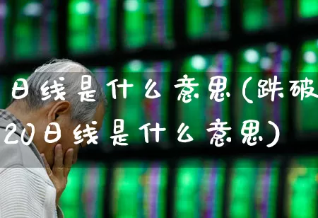 日线是什么意思(跌破20日线是什么意思)_https://www.gfdzclz.com_创业板_第1张