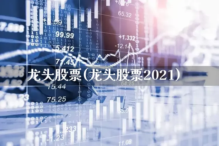 龙头股票(龙头股票2021)_https://www.gfdzclz.com_深交所_第1张