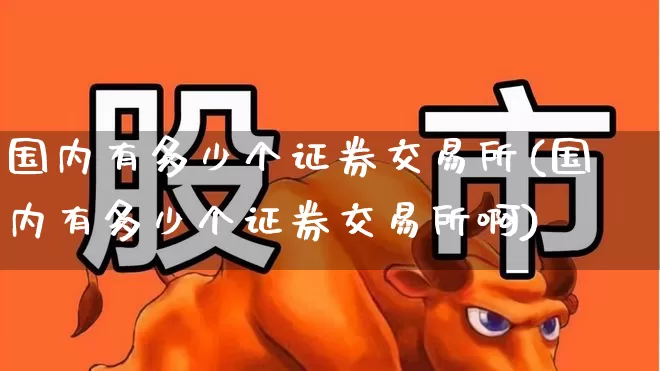 国内有多少个证券交易所(国内有多少个证券交易所啊)_https://www.gfdzclz.com_深交所_第1张