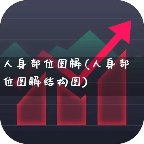 人身部位图解(人身部位图解结构图)_https://www.gfdzclz.com_科创板_第1张