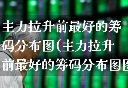 主力拉升前最好的筹码分布图(主力拉升前最好的筹码分布图图示)_https://www.gfdzclz.com_创业板_第1张