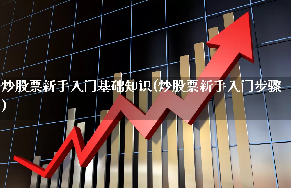 炒股票新手入门基础知识(炒股票新手入门步骤)_https://www.gfdzclz.com_上交所_第1张