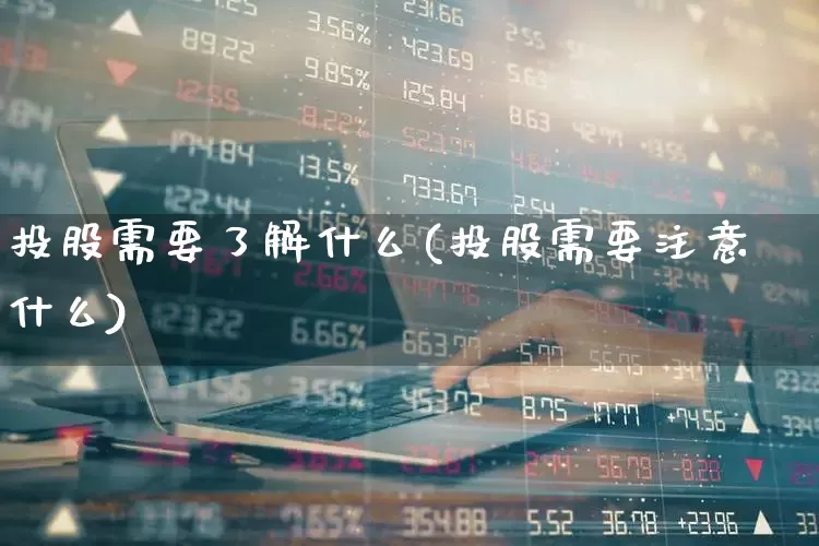 投股需要了解什么(投股需要注意什么)_https://www.gfdzclz.com_上交所_第1张