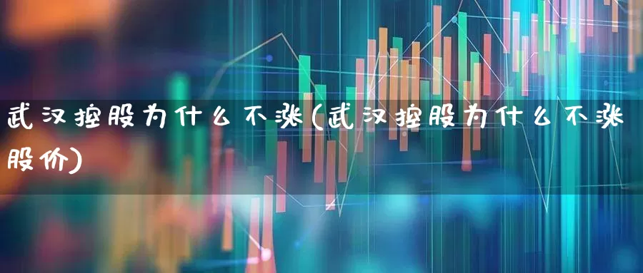 武汉控股为什么不涨(武汉控股为什么不涨股价)_https://www.gfdzclz.com_创业板_第1张