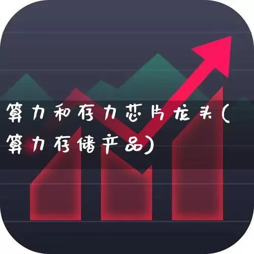 算力和存力芯片龙头(算力存储产品)_https://www.gfdzclz.com_上交所_第1张