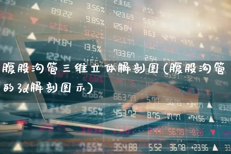 腹股沟管三维立体解剖图(腹股沟管的3d解剖图示)_https://www.gfdzclz.com_科创板_第1张