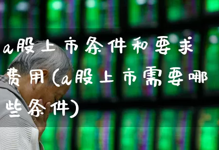 a股上市条件和要求 费用(a股上市需要哪些条件)_https://www.gfdzclz.com_深交所_第1张