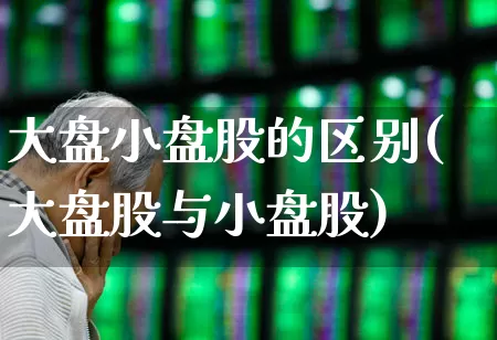 大盘小盘股的区别(大盘股与小盘股)_https://www.gfdzclz.com_上交所_第1张