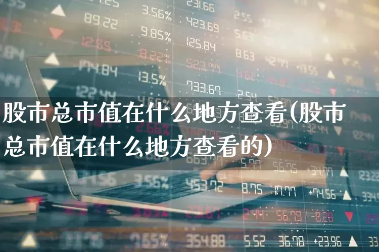 股市总市值在什么地方查看(股市总市值在什么地方查看的)_https://www.gfdzclz.com_上交所_第1张