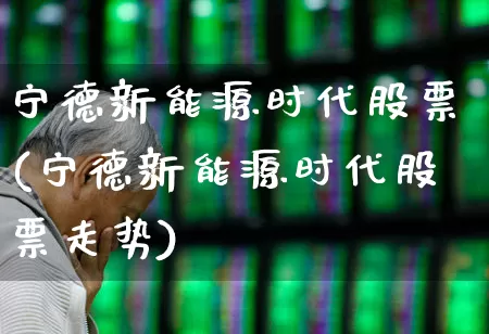宁德新能源时代股票(宁德新能源时代股票走势)_https://www.gfdzclz.com_上交所_第1张