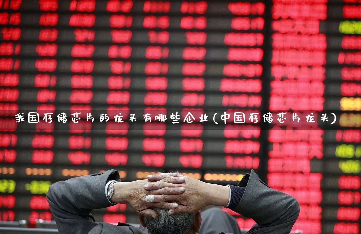 我国存储芯片的龙头有哪些企业(中国存储芯片龙头)_https://www.gfdzclz.com_深交所_第1张