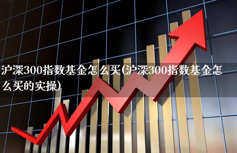 沪深300指数基金怎么买(沪深300指数基金怎么买的实操)_https://www.gfdzclz.com_深交所_第1张