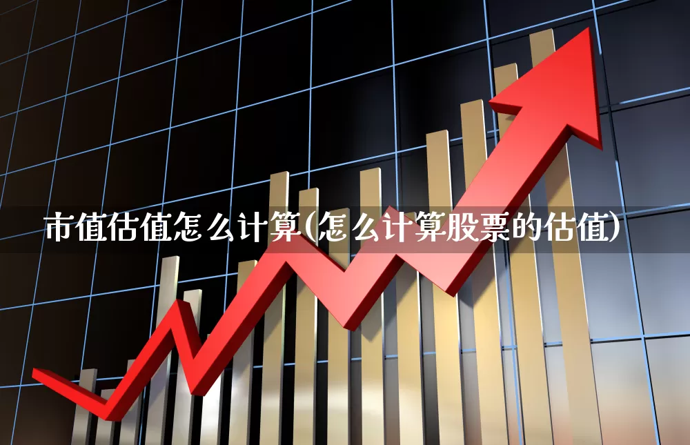 市值估值怎么计算(怎么计算股票的估值)_https://www.gfdzclz.com_深交所_第1张