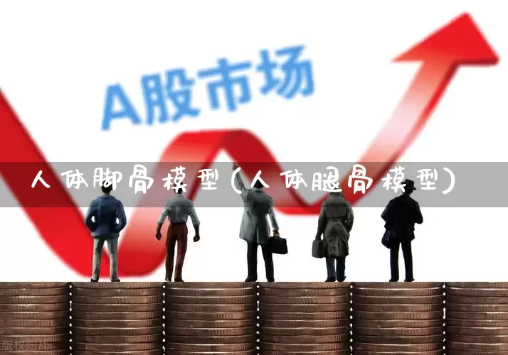 人体脚骨模型(人体腿骨模型)_https://www.gfdzclz.com_科创板_第1张
