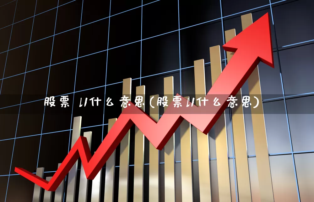 股票 l1什么意思(股票l1什么意思)_https://www.gfdzclz.com_深交所_第1张