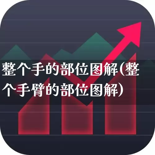 整个手的部位图解(整个手臂的部位图解)_https://www.gfdzclz.com_创业板_第1张
