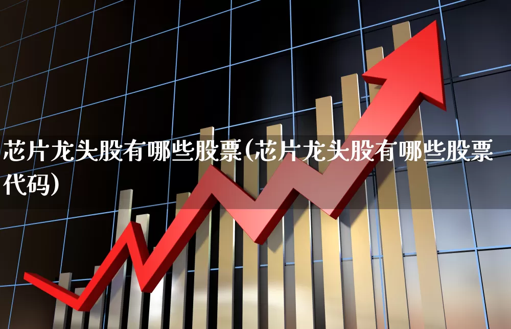 芯片龙头股有哪些股票(芯片龙头股有哪些股票代码)_https://www.gfdzclz.com_深交所_第1张