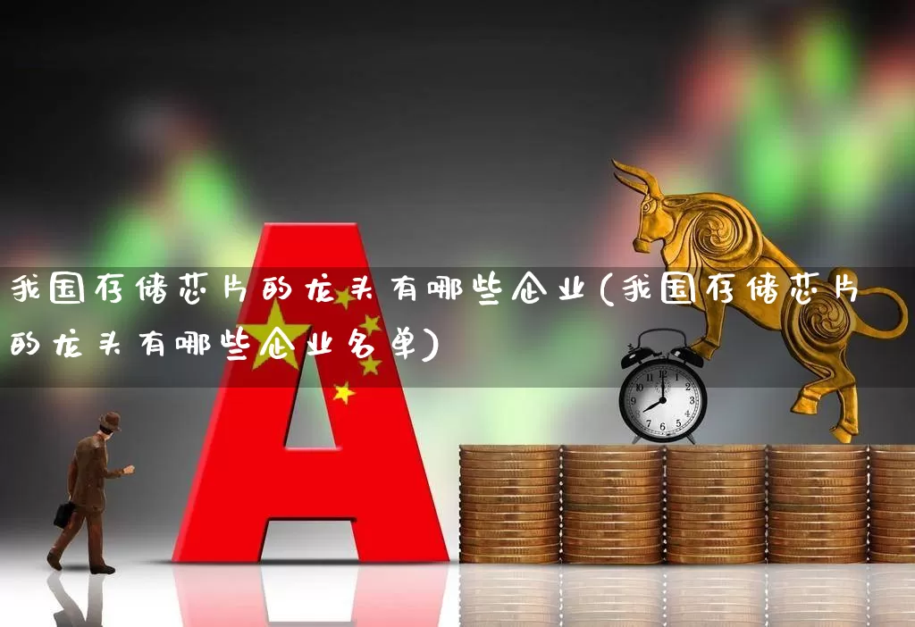 我国存储芯片的龙头有哪些企业(我国存储芯片的龙头有哪些企业名单)_https://www.gfdzclz.com_科创板_第1张